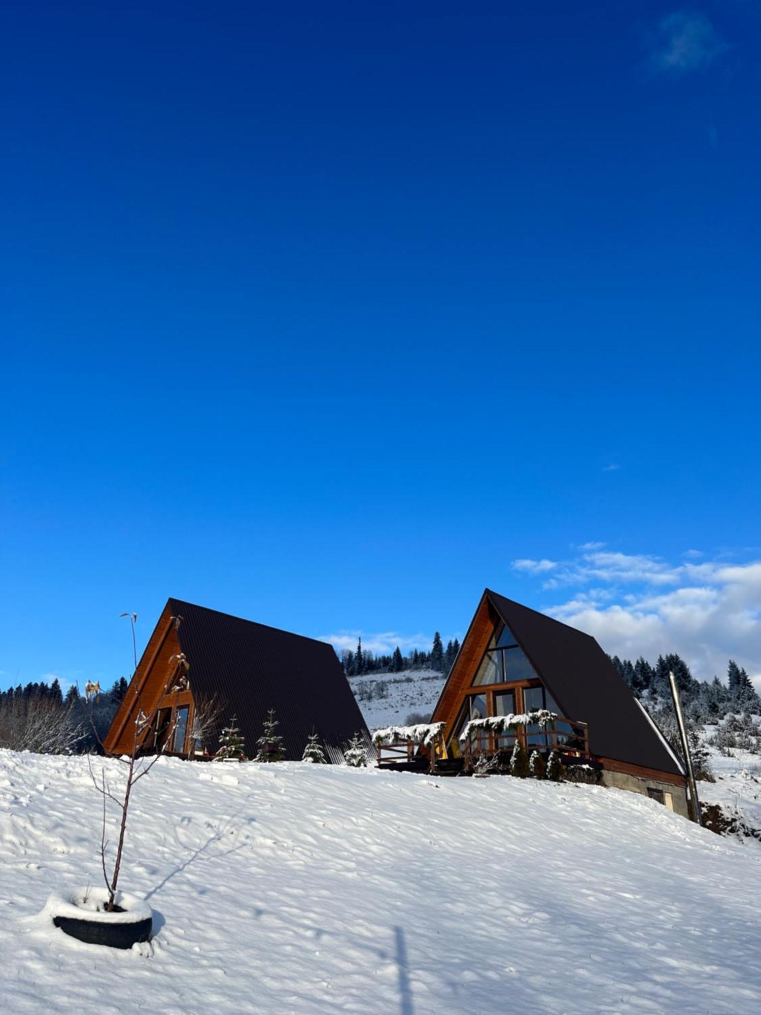 Тихий Куточок Izki Exterior foto